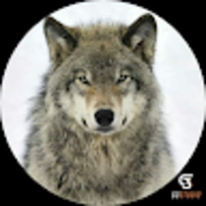 Meet your Posher, Drew